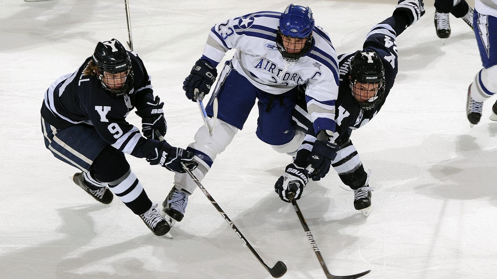 从低谷到巅峰，伤病康复背后的体育精神与科学突破
